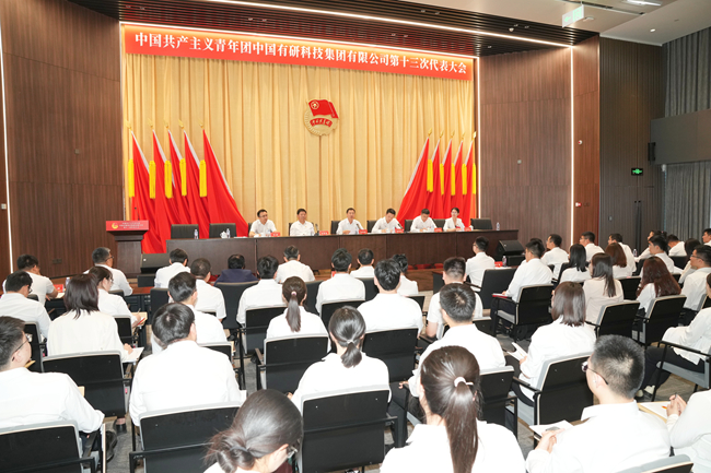 共青团bat365在线平台官网第十三次代表大会胜利召开